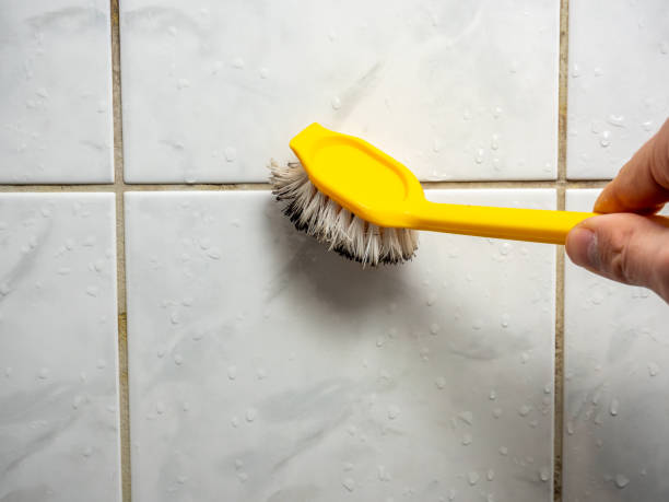 Best Black Mold Removal  in Ithaca, MI