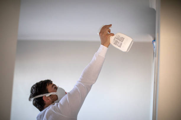 Best Mold Testing  in Ithaca, MI