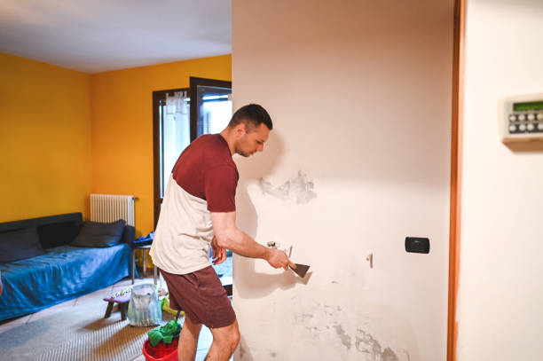 Best Mold Remediation  in Ithaca, MI